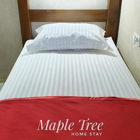 Maple Tree Homestay Maguwo Zewnętrze zdjęcie