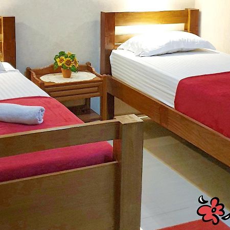 Maple Tree Homestay Maguwo Zewnętrze zdjęcie