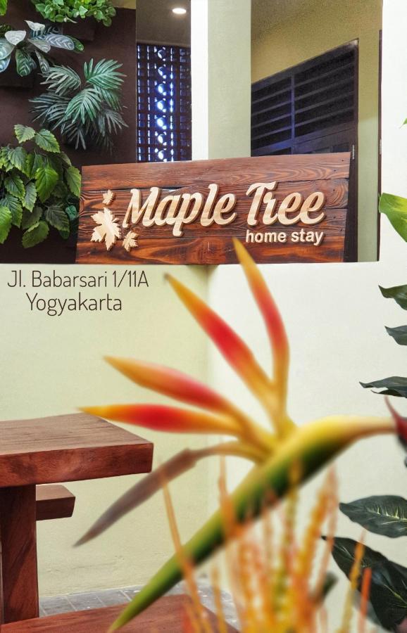 Maple Tree Homestay Maguwo Zewnętrze zdjęcie
