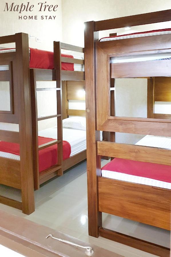 Maple Tree Homestay Maguwo Zewnętrze zdjęcie