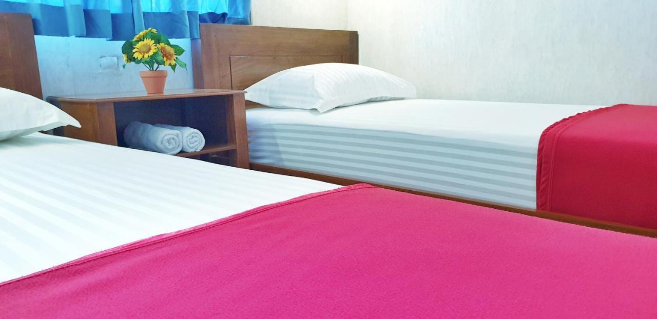 Maple Tree Homestay Maguwo Zewnętrze zdjęcie