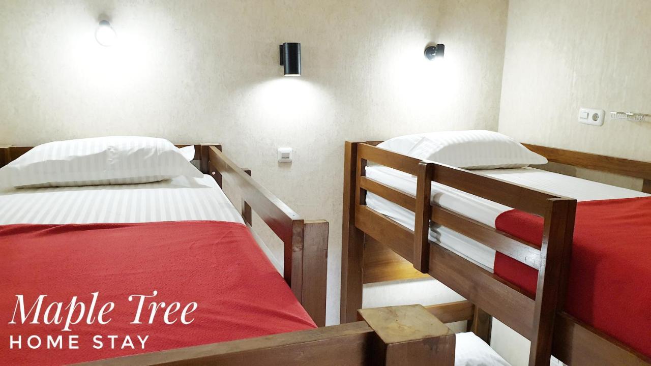 Maple Tree Homestay Maguwo Zewnętrze zdjęcie