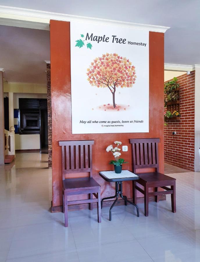 Maple Tree Homestay Maguwo Zewnętrze zdjęcie