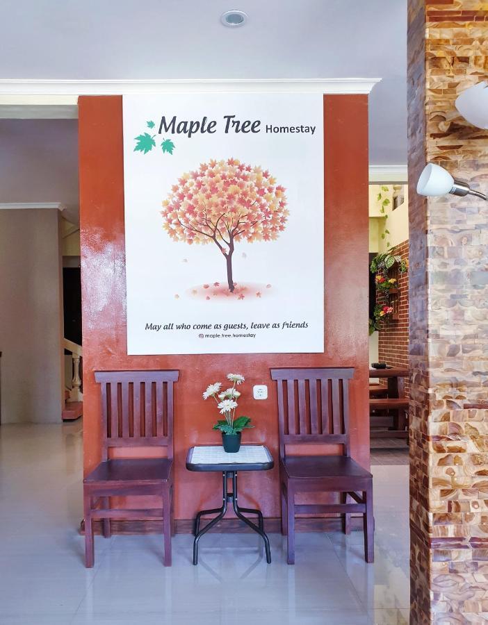 Maple Tree Homestay Maguwo Zewnętrze zdjęcie